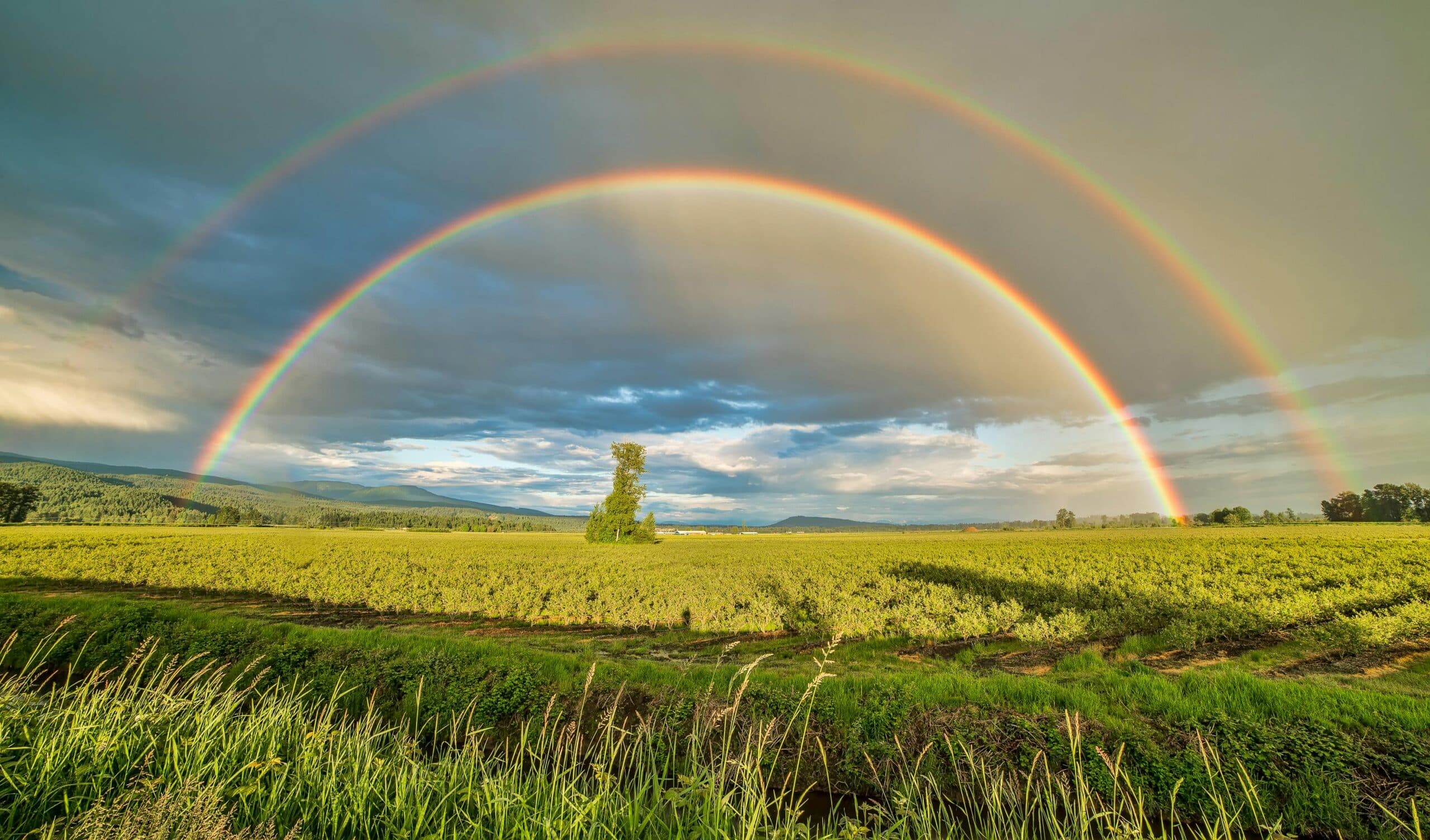 Double arc en ciel dans u paysage de campagne